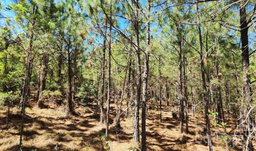 Photo #21 of 1050 Mcqueen, Patrick, SC