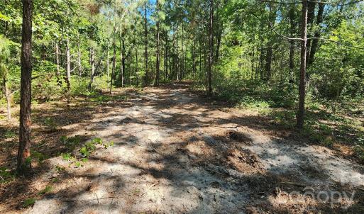 Photo #22 of 1050 Mcqueen, Patrick, SC