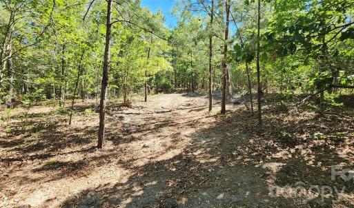Photo #14 of 1050 Mcqueen, Patrick, SC