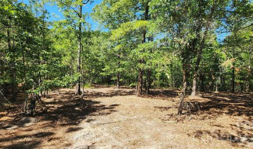 Photo #15 of 1050 Mcqueen, Patrick, SC