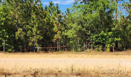 Photo #34 of 1050 Mcqueen, Patrick, SC