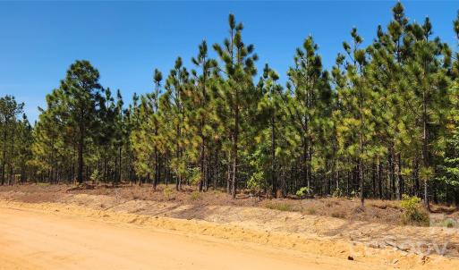 Photo #25 of 1050 Mcqueen, Patrick, SC