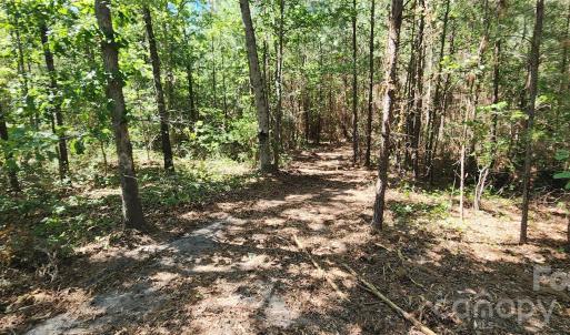 Photo #23 of 1050 Mcqueen, Patrick, SC