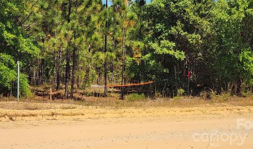 Photo #20 of 1050 Mcqueen, Patrick, SC