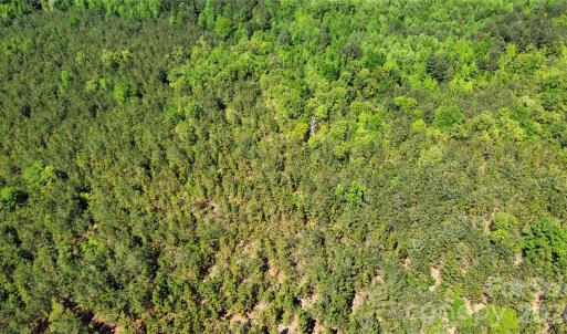 Photo #23 of 1050 Mcqueen, Patrick, SC