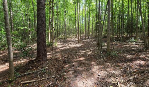 Photo #34 of 1050 Mcqueen, Patrick, SC