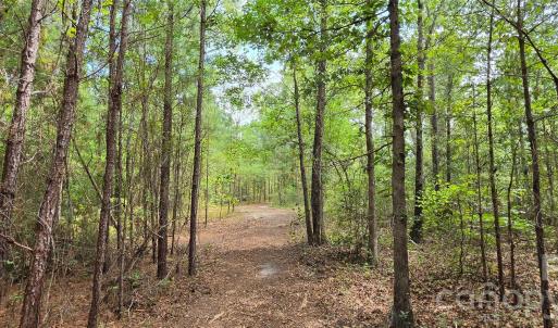 Photo #30 of 1050 Mcqueen, Patrick, SC