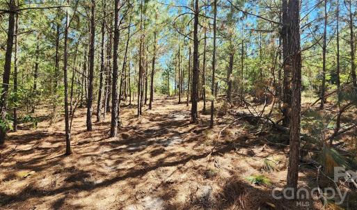 Photo #13 of 1050 Mcqueen, Patrick, SC