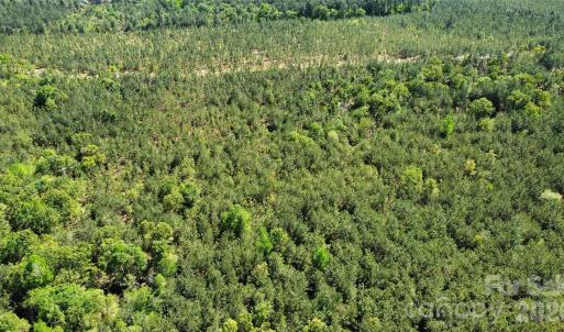 Photo #25 of 1050 Mcqueen, Patrick, SC