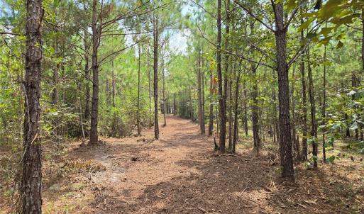Photo #38 of 1050 Mcqueen, Patrick, SC