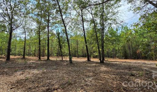 Photo #10 of 1050 Mcqueen, Patrick, SC