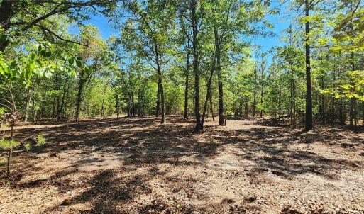 Photo #14 of 1050 Mcqueen, Patrick, SC