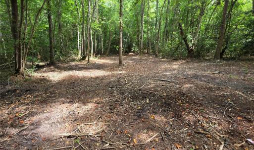 Photo #33 of 1050 Mcqueen, Patrick, SC
