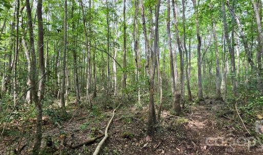 Photo #32 of 1050 Mcqueen, Patrick, SC