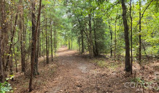 Photo #31 of 1050 Mcqueen, Patrick, SC