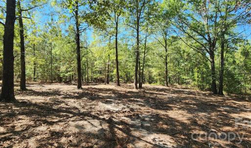 Photo #1 of 1050 Mcqueen, Patrick, SC