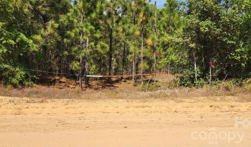 Photo #40 of 1050 Mcqueen, Patrick, SC