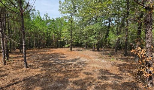 Photo #36 of 1050 Mcqueen, Patrick, SC