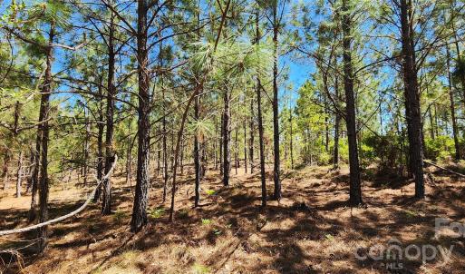 Photo #20 of 1050 Mcqueen, Patrick, SC
