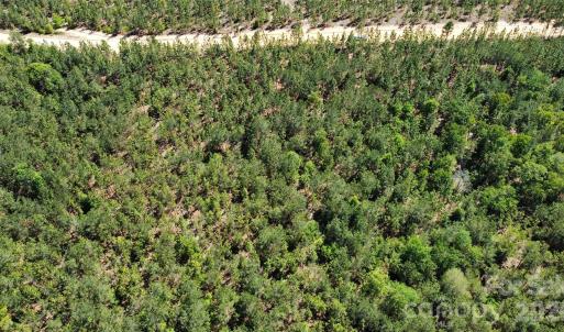 Photo #24 of 1050 Mcqueen, Patrick, SC