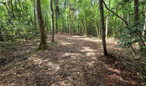 Photo #42 of 1050 Mcqueen, Patrick, SC