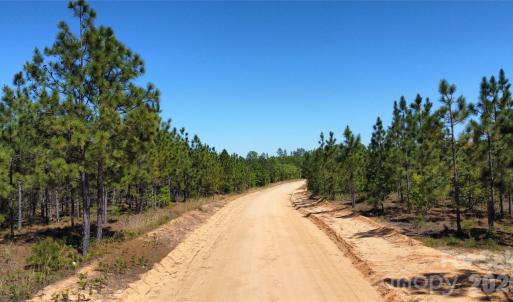Photo #5 of 1050 Mcqueen, Patrick, SC