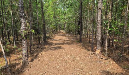 Photo #37 of 1050 Mcqueen, Patrick, SC
