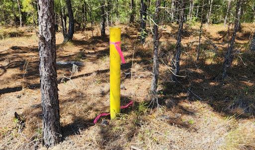 Photo #41 of 1050 Mcqueen, Patrick, SC