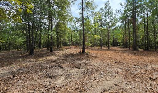 Photo #9 of 1050 Mcqueen, Patrick, SC
