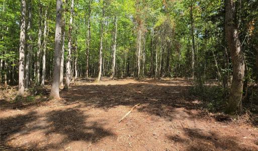 Photo #35 of 1050 Mcqueen, Patrick, SC