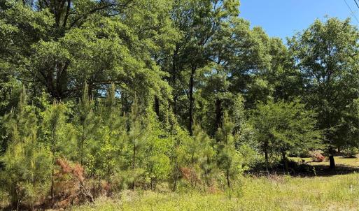 Photo #10 of Providence, Lancaster, SC