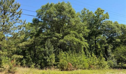 Photo #8 of Providence, Lancaster, SC
