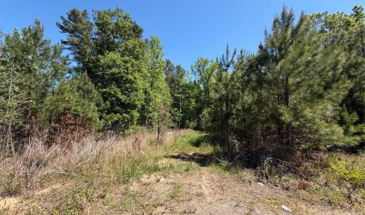 Photo #3 of Providence, Lancaster, SC