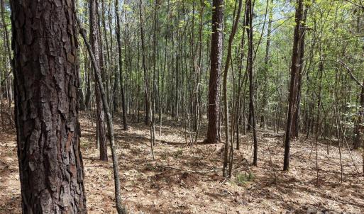 Photo #19 of TBD RIVER BLUFF, Lilesville, NC