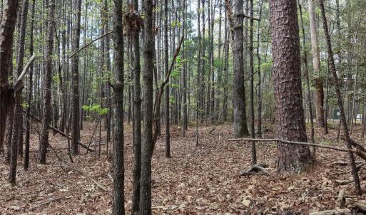 Photo #17 of TBD RIVER BLUFF, Lilesville, NC