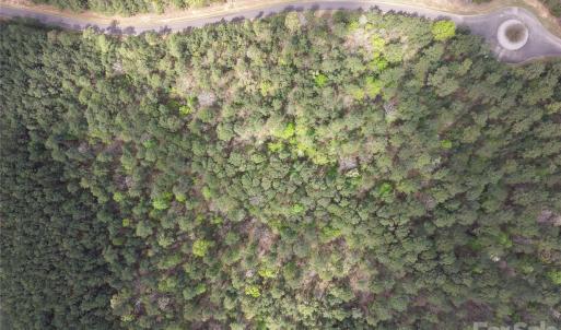 Photo #30 of TBD RIVER BLUFF, Lilesville, NC