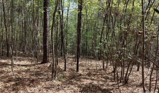 Photo #20 of TBD RIVER BLUFF, Lilesville, NC