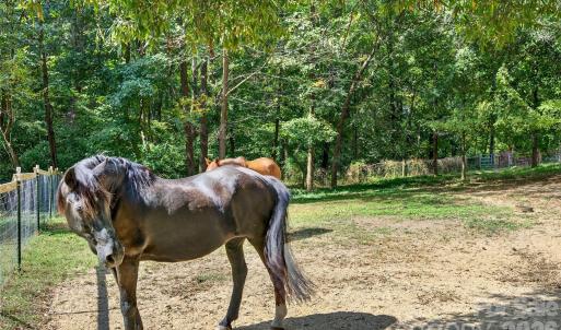 Photo #40 of 205 Airport, Monroe, NC