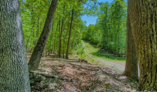 Photo #4 of Sunset, Asheboro, NC