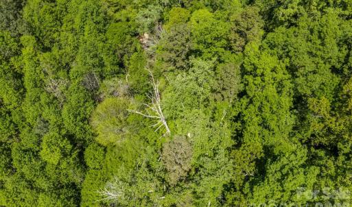 Photo #14 of Sunset, Asheboro, NC