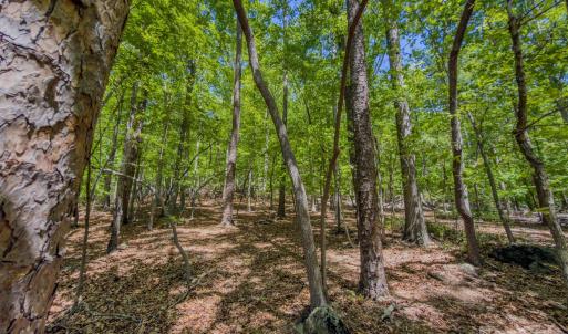 Photo #28 of Sunset, Asheboro, NC