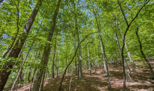 Photo #41 of Sunset, Asheboro, NC