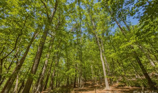 Photo #32 of Sunset, Asheboro, NC