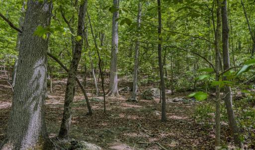 Photo #23 of Sunset, Asheboro, NC