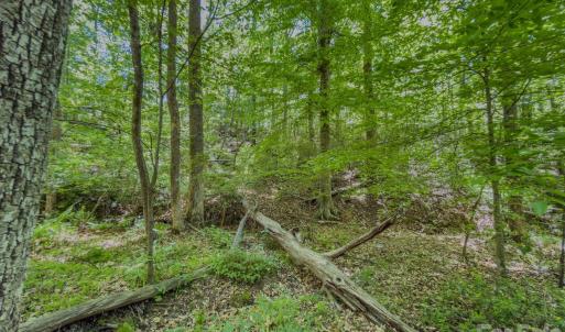 Photo #8 of Sunset, Asheboro, NC