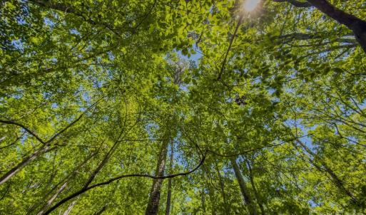 Photo #30 of Sunset, Asheboro, NC