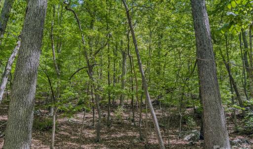 Photo #26 of Sunset, Asheboro, NC