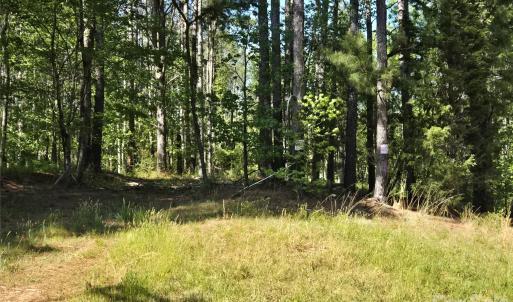 Photo #13 of Blaine, Badin Lake, NC