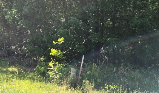 Photo #10 of Blaine, Badin Lake, NC