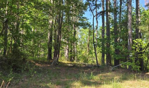 Photo #2 of Blaine, Badin Lake, NC